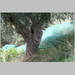 170 ... und sie liegt richtig..JPG 170 ... und sie liegt richtig..JPG